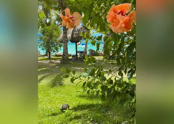 Cayuco Maya hotel thumbnail 7
