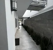 Madison Suites hotel detail image 5