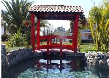 Hotel Palmas Teotihuacan hotel thumbnail 2