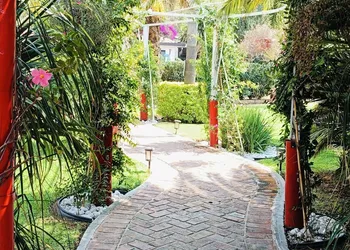 Hotel Palmas Teotihuacan hotel thumbnail 5