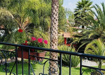 Hotel Palmas Teotihuacan hotel thumbnail 7