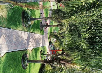 Hotel Palmas Teotihuacan hotel thumbnail 8