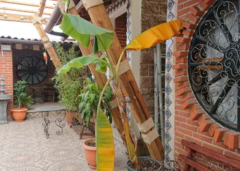 Hostal El Refugio hotel thumbnail 2