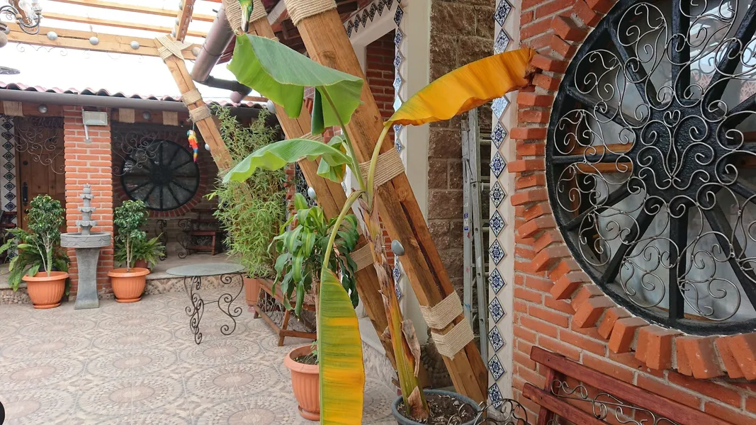 Hostal El Refugio hotel detail image 2