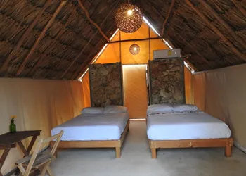 Casa Viva Mérida hotel thumbnail 4