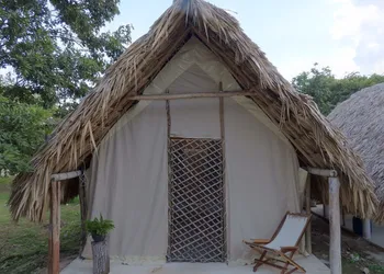 Casa Viva Mérida hotel thumbnail 5