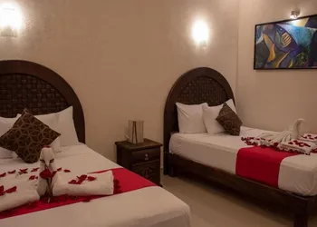 Cedro Rojo hotel thumbnail 2