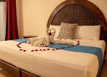 Cedro Rojo hotel thumbnail 4