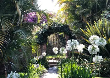 Casa Magdalena hotel thumbnail 3