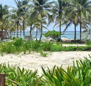Cabañas Palmeras de Mahahual hotel detail image 7