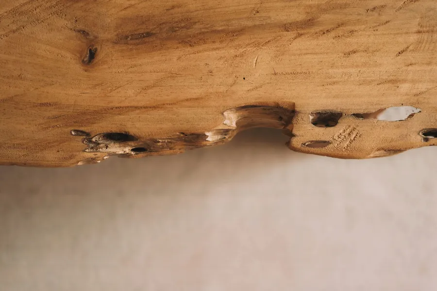 Zelune Luxury Lagoon Resort Bacalar Adults only hotel detail image 6