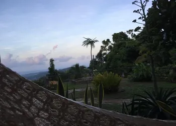 Rainforest Inn hotel thumbnail 5