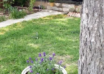 The B&B's of Monarc Ranch hotel thumbnail 3