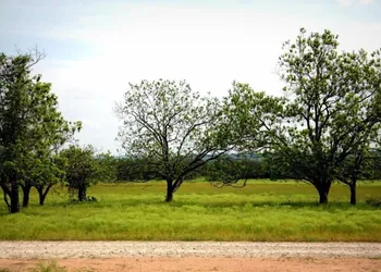 The B&B's of Monarc Ranch hotel thumbnail 5