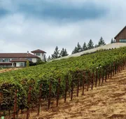 Black Walnut Inn & Vineyard hotel detail image 5