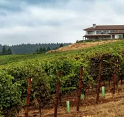 Black Walnut Inn & Vineyard hotel detail image 7