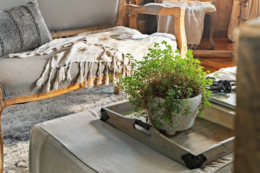 The Watson Boutique Bed & Breakfast hotel detail image 2