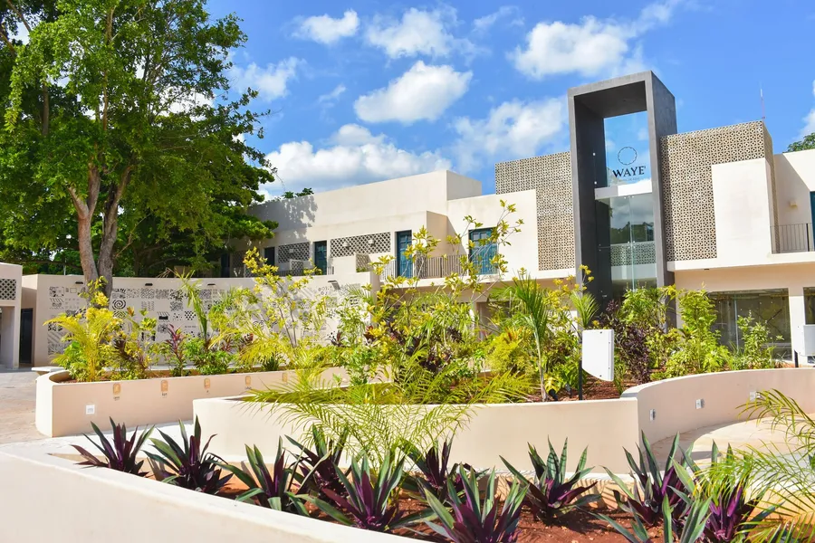 Waye Valladolid Centro – Sustainable, Authentic Experiences & Pet Friendly Boutique Hotel hotel detail image 2