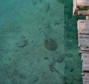 Hotel Sotavento & Yacht Club hotel detail image 7
