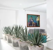 Círculo Condesa hotel detail image 5
