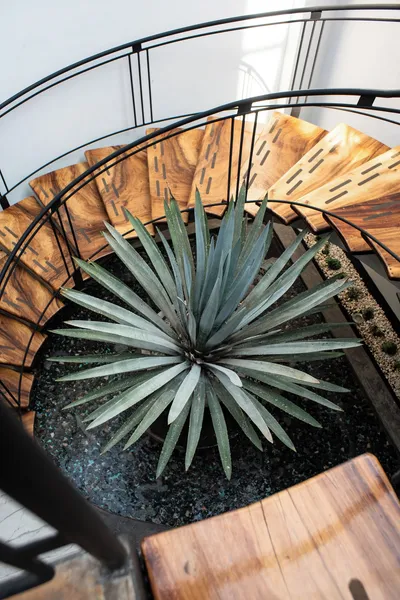 Círculo Condesa hotel detail image 6