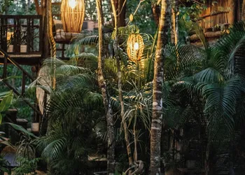 ANAND Ecoaldea hotel thumbnail 8