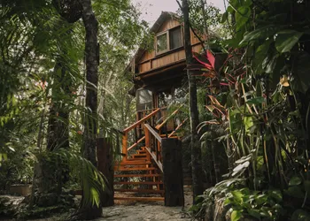 ANAND Ecoaldea hotel thumbnail 5