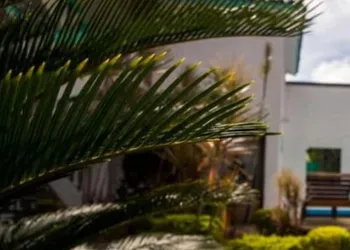 Hotel Costa 55 hotel thumbnail 2
