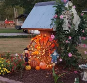 Country Aire Bed & Breakfast hotel detail image 4