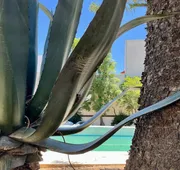 Villa Santa Julia hotel detail image 3