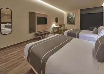 City Express Plus by Marriott San Luis Potosí hotel thumbnail 7