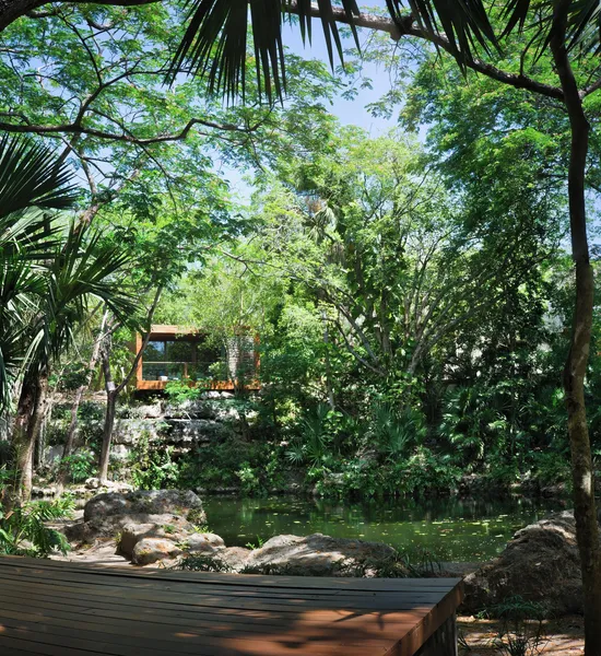 Chablé Yucatán hotel detail image 2