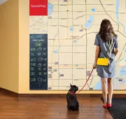 Towneplace Suites Houston Hobby Airport hotel detail image 3
