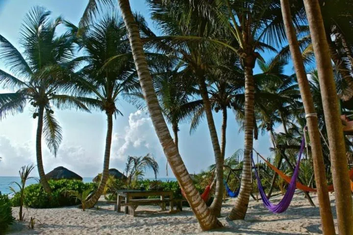 Playa Selva hotel detail image 2