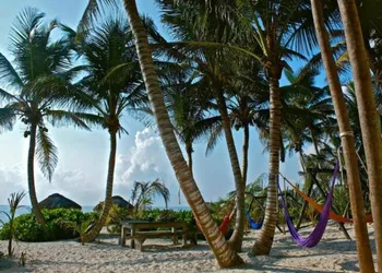 Playa Selva hotel thumbnail 3