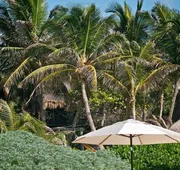 Playa Selva hotel detail image 5
