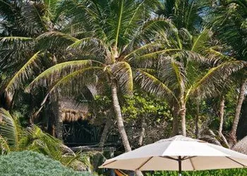 Playa Selva hotel thumbnail 5