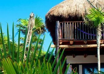 Playa Selva hotel thumbnail 6