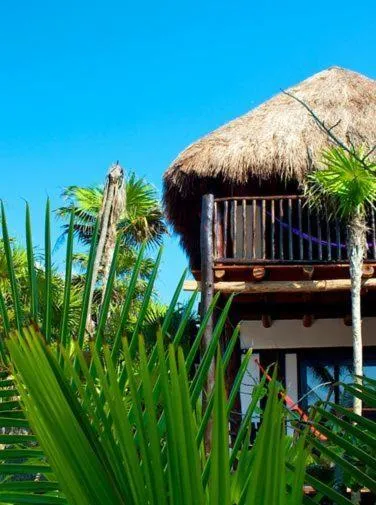 Playa Selva hotel detail image 6