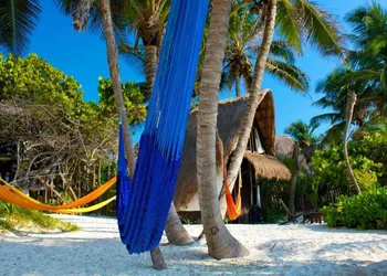 Playa Selva hotel thumbnail 7