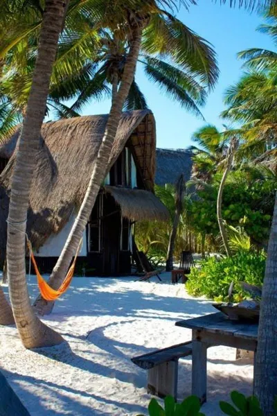 Playa Selva hotel detail image 2