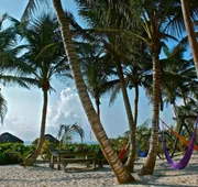 Playa Selva hotel detail image 3