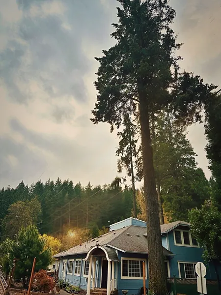Westfir Lodge & Mountain Market hotel detail image 2