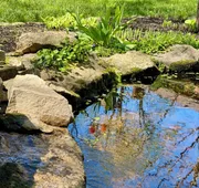 Red Rose Inn Bed & Breakfast hotel detail image 3