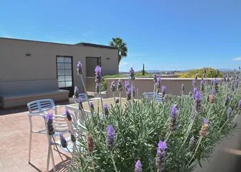 Canela Fina Solo adultos hotel thumbnail 2