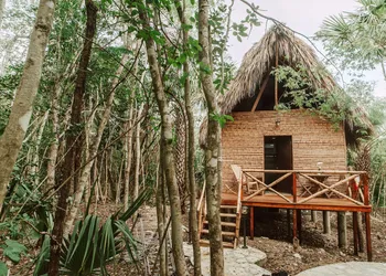 Selva Teenek hotel thumbnail 4