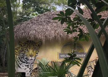 Selva Teenek hotel thumbnail 5