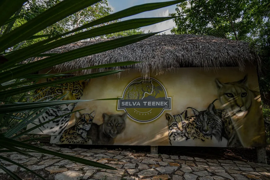 Selva Teenek hotel detail image 6
