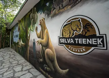 Selva Teenek hotel thumbnail 8