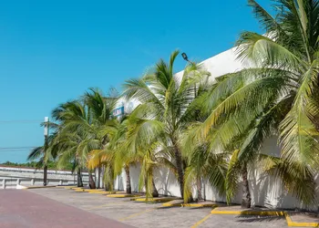 BONITTO INN® Altamira Zona Industrial hotel thumbnail 7